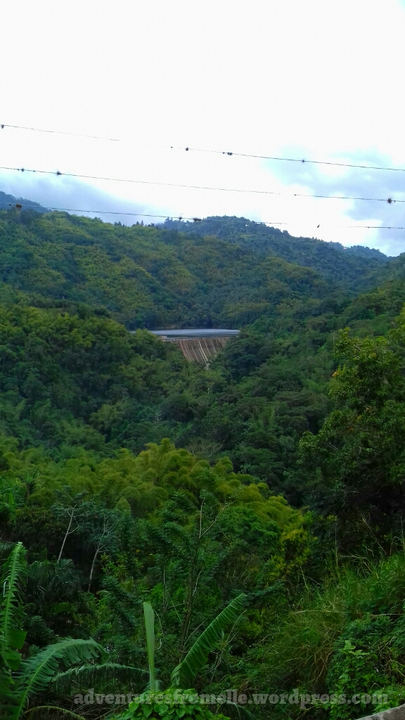 the hermitage dam
