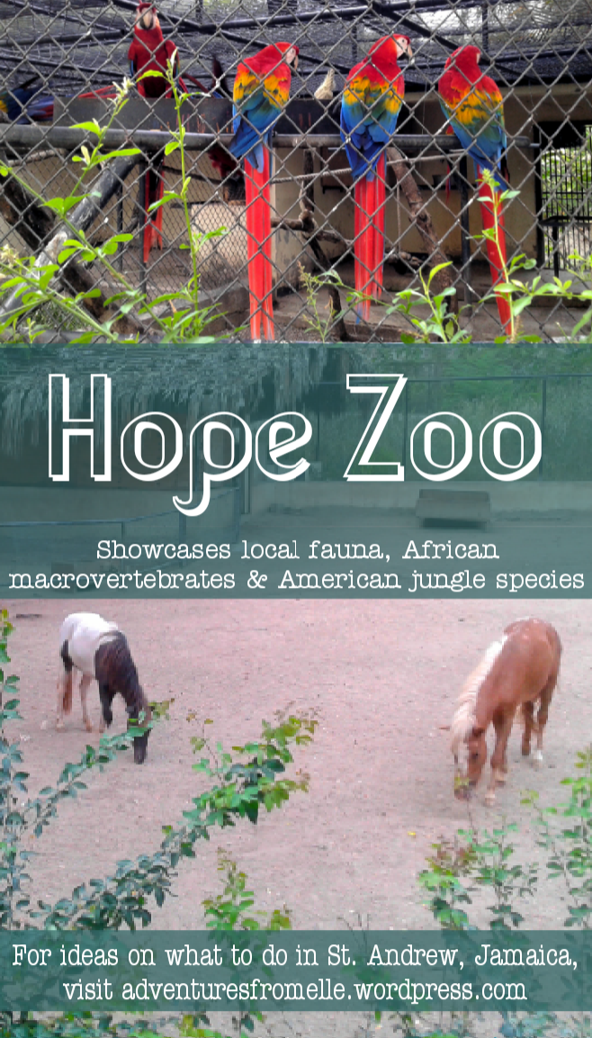 Hope Zoo in Jamaica
