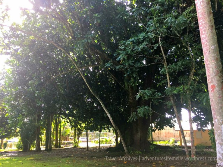 Bath Botanical Gardens, Saint Thomas – Adventures from Elle