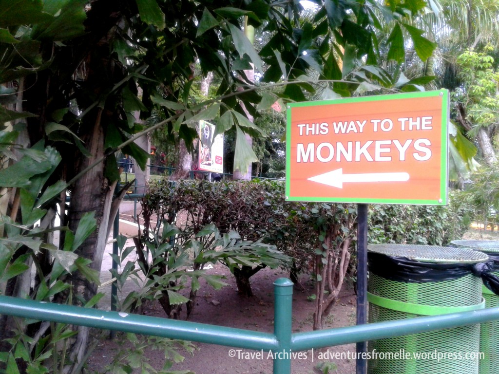 this way to monkeys sign-hope zoo
