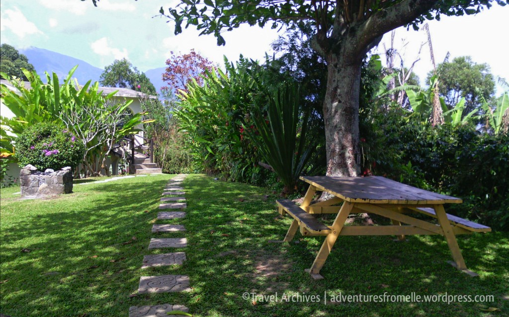 bench-lime tree farm