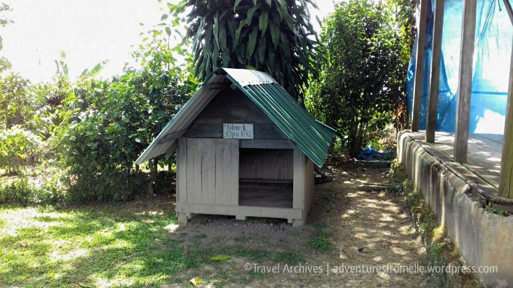 Black Ops HQ- Lime Tree Farm