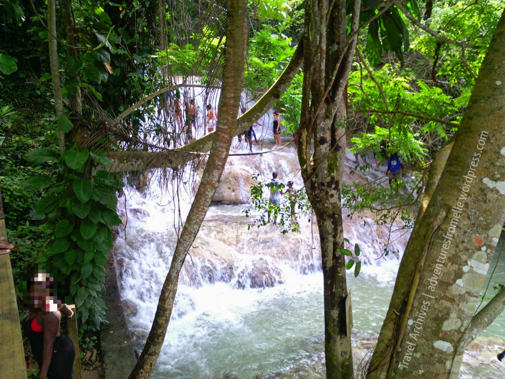 dunns-river through the trees