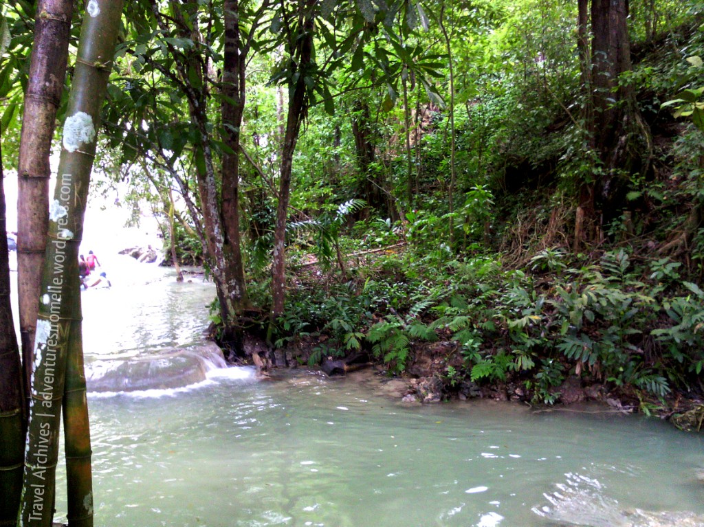 lush greenery-dunns river