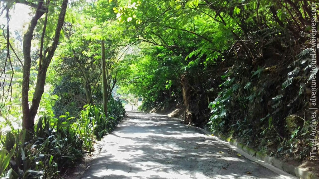 road to lime tree farm