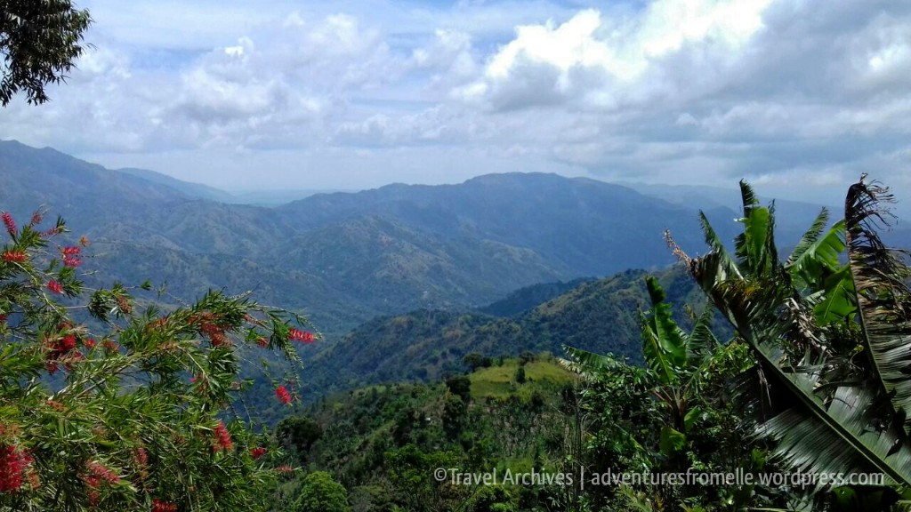 views from lime tree farm 2