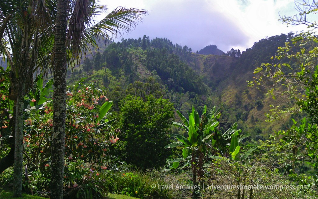 views from lime tree farm 3