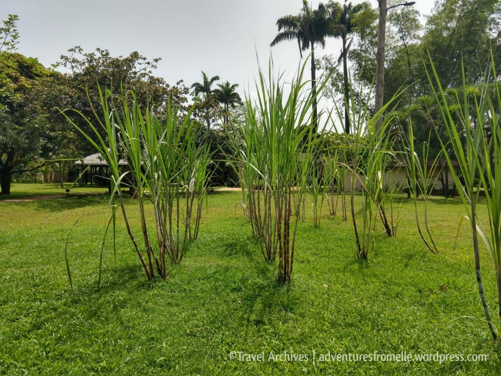 sugarcane-appleton rum experience 2018.jpg