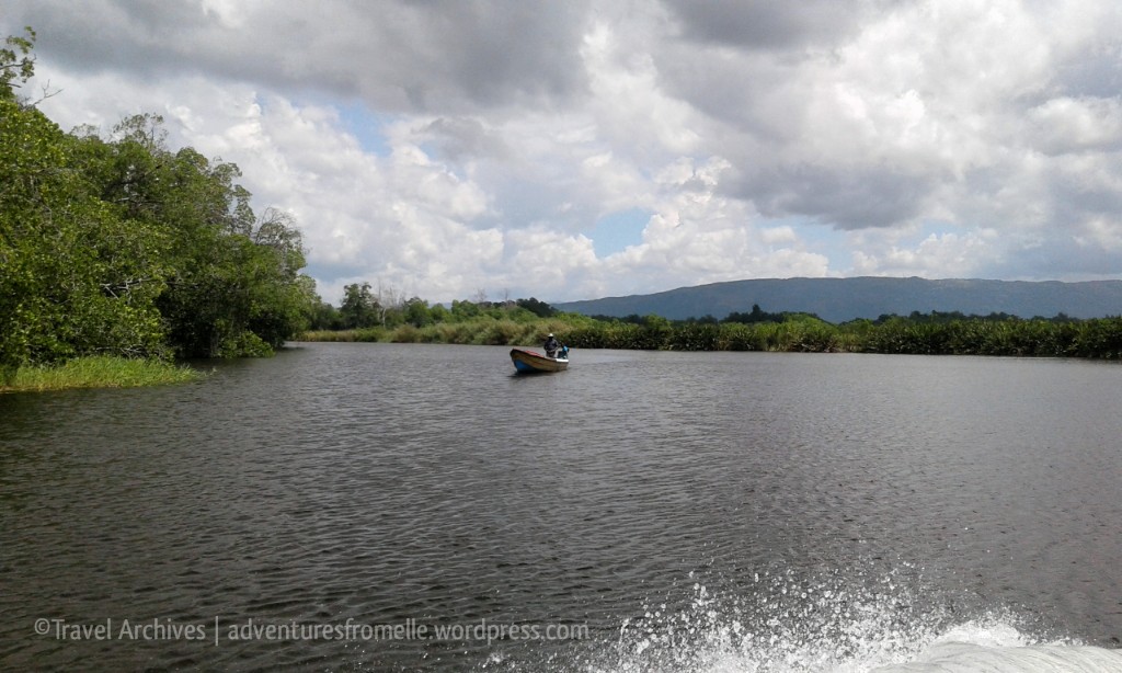 black river safari- boat sailing past