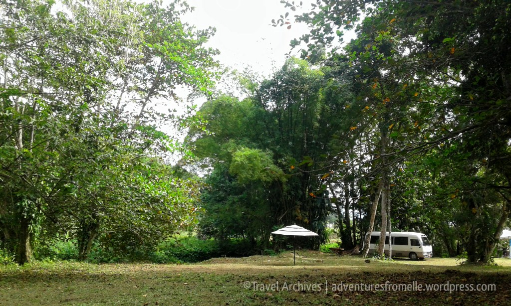 clearing-breadnut valley