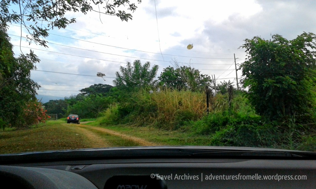 dirt track to breadnut valley falls