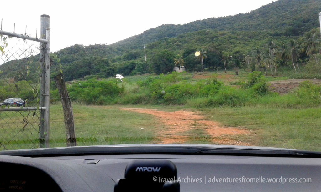 drive to breadnut valley falls