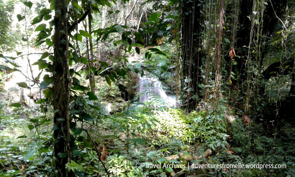 glimpse of 1st waterfall-breadnut valley