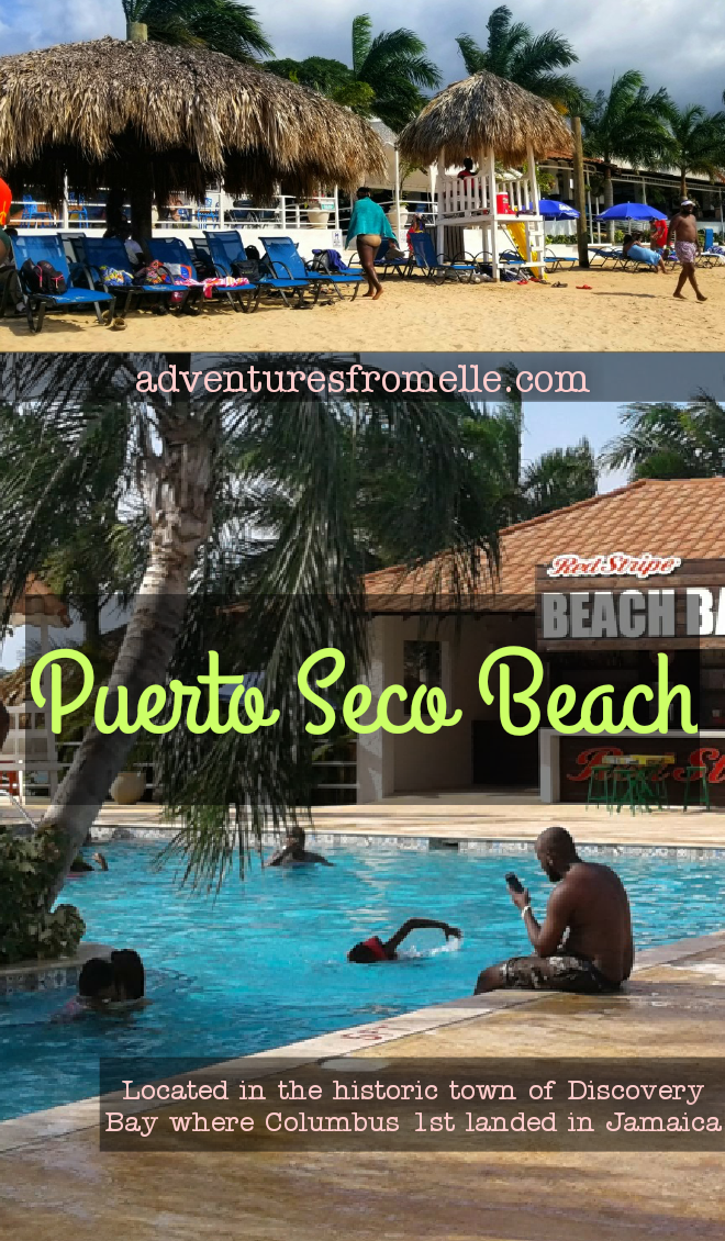 Puerto seco pinnable graphic