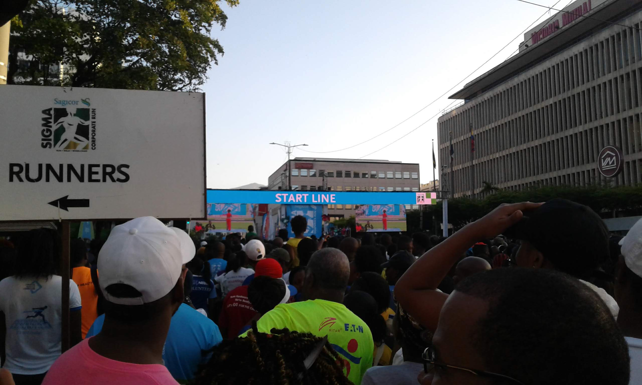 Sagicor sigma run 2019
