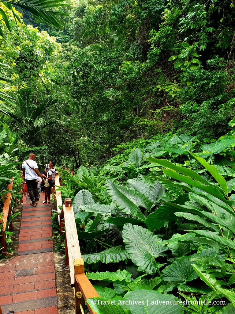 konoko falls-so stunning.jpg