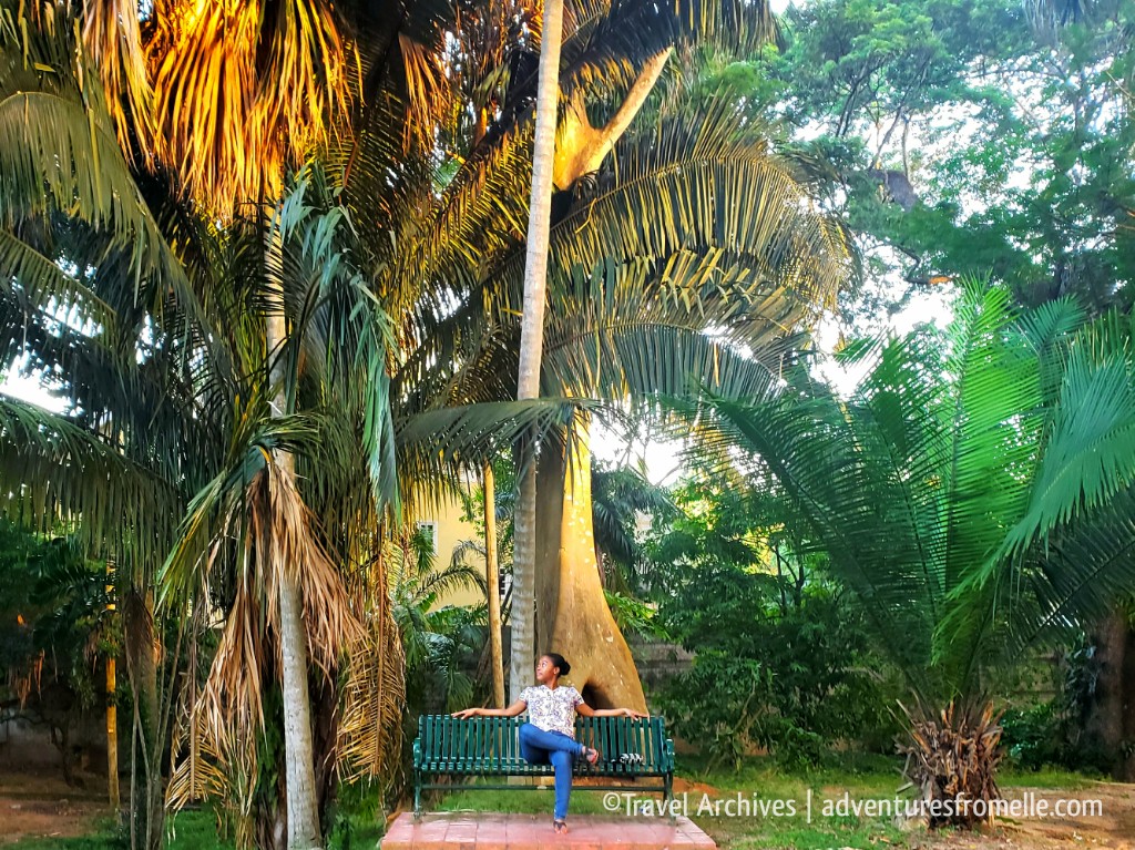 royal botanic garden9.jpg