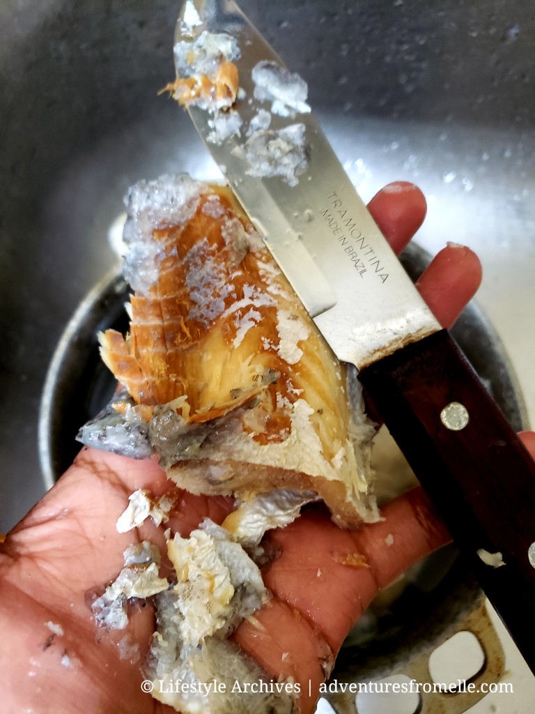 scaling saltfish .jpg