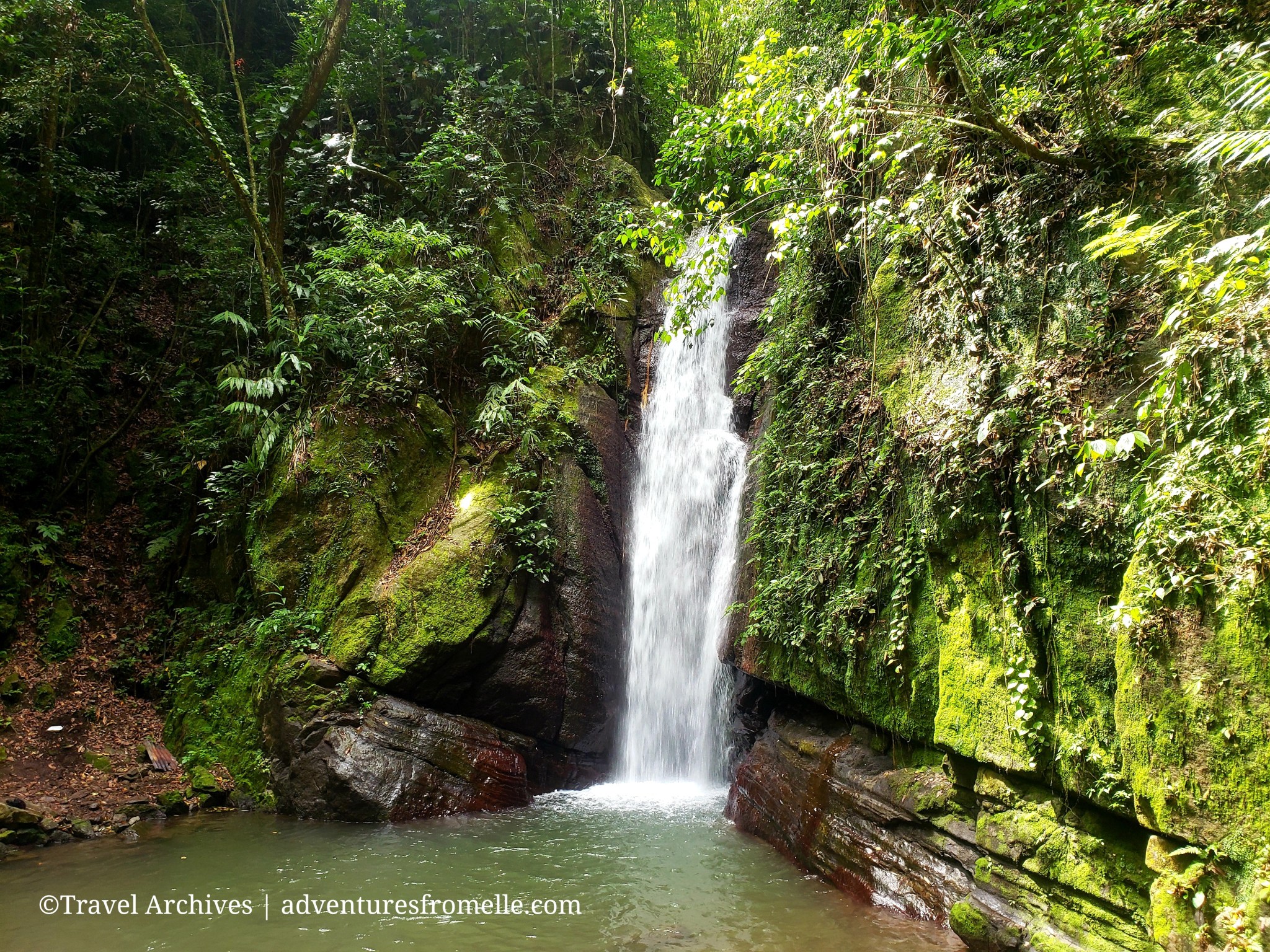 Jamari Rivers 6 Jamaican Rivers You Can Visit Without Leaving Kingston & St. Andrew ...