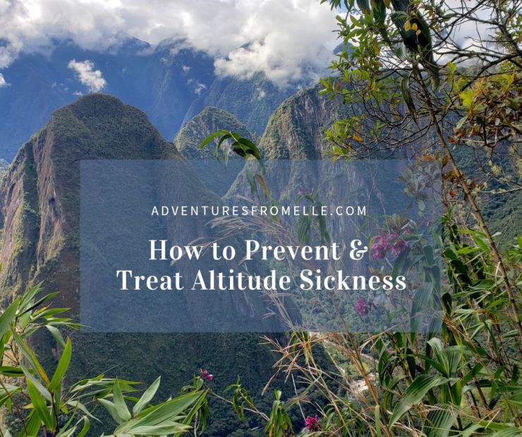 Mountains and flowers