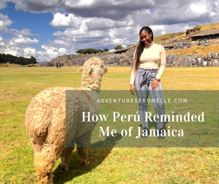 Girl looking at llama