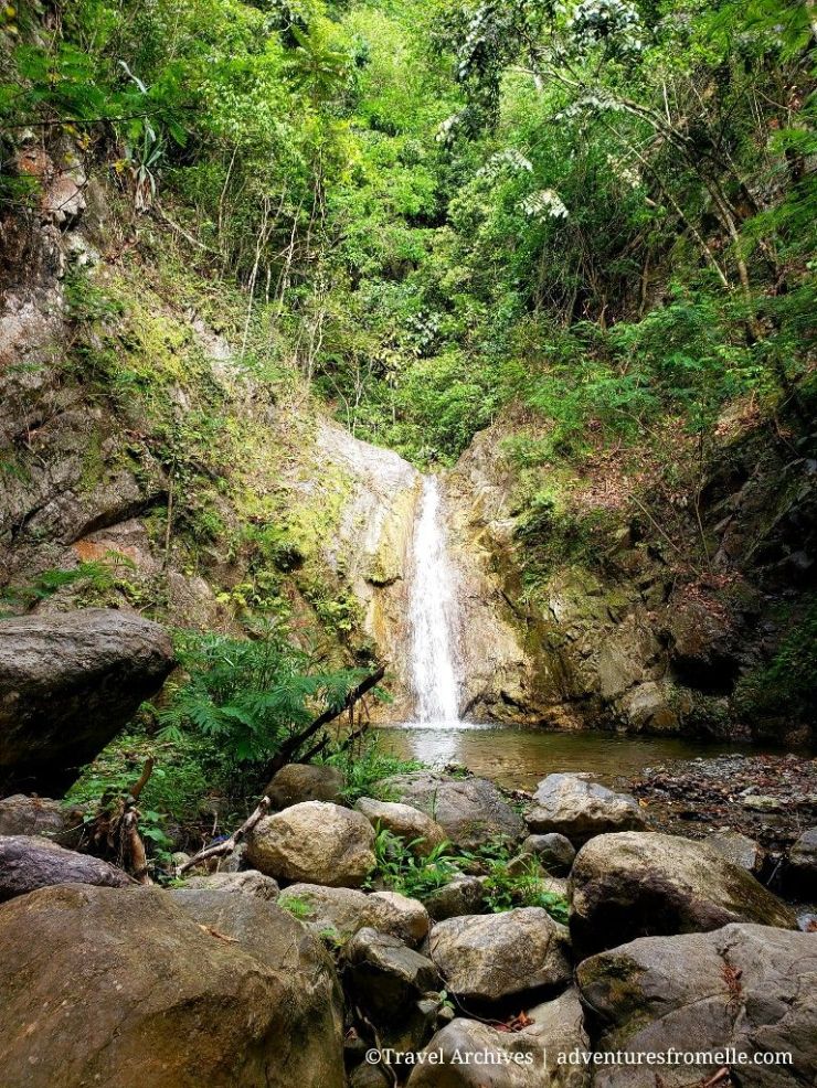 Waterfall surrounded by trees and rocks
