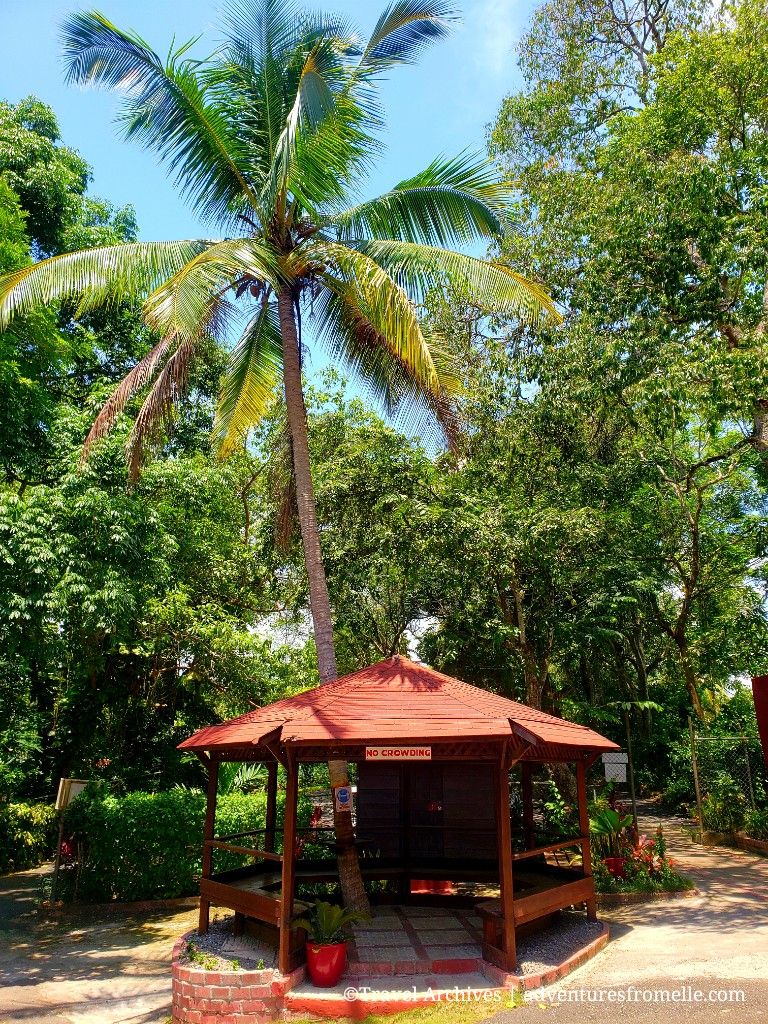 Gazebo next to palm tree