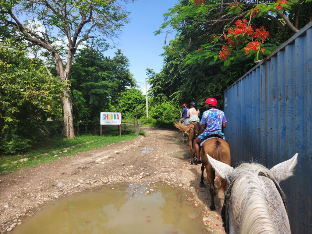 Horseback riding at Chukka Cove & Cliffs in Llandovery
