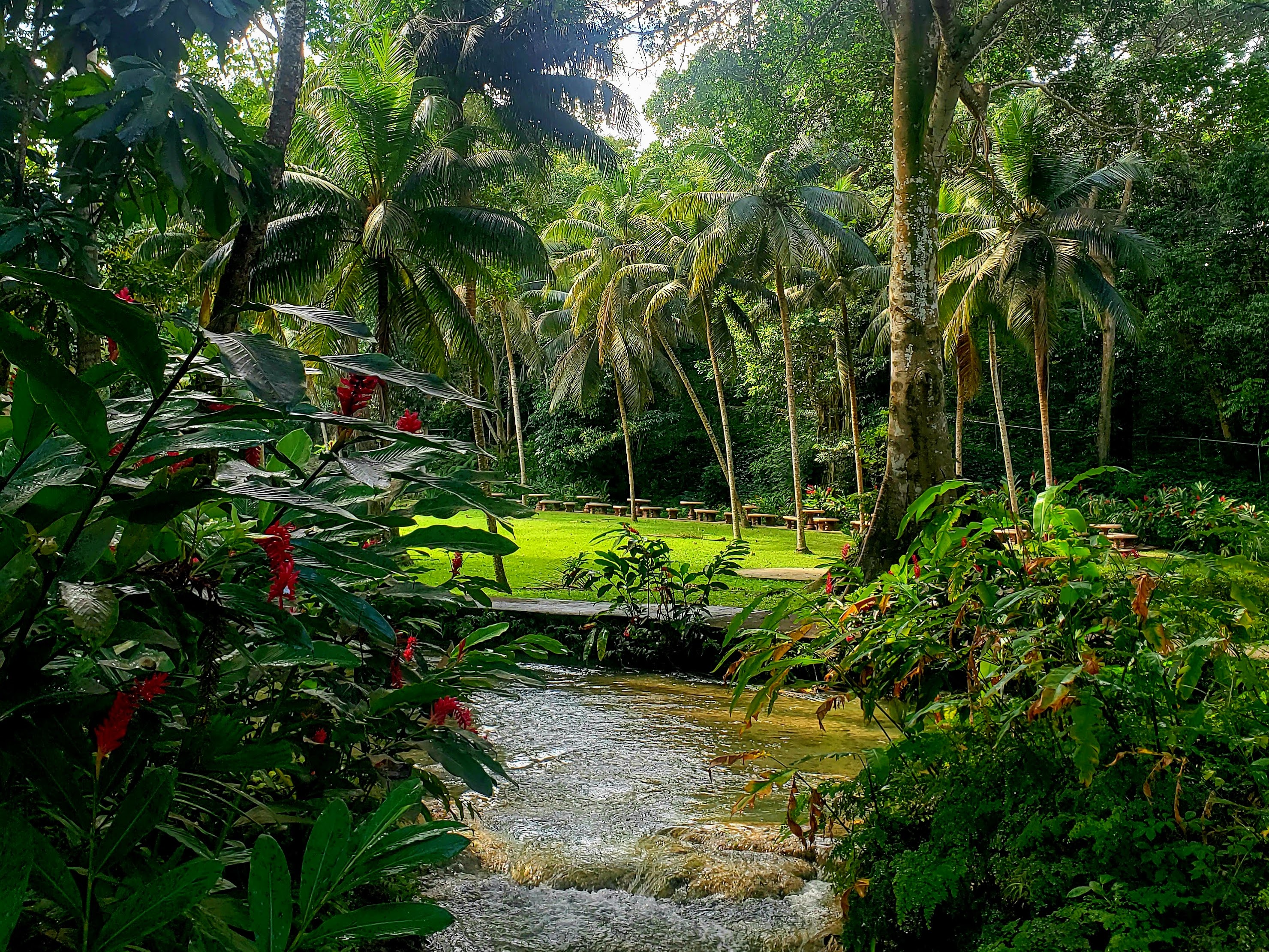 16 Photos Showcasing the Beauty of St. Ann in Jamaica