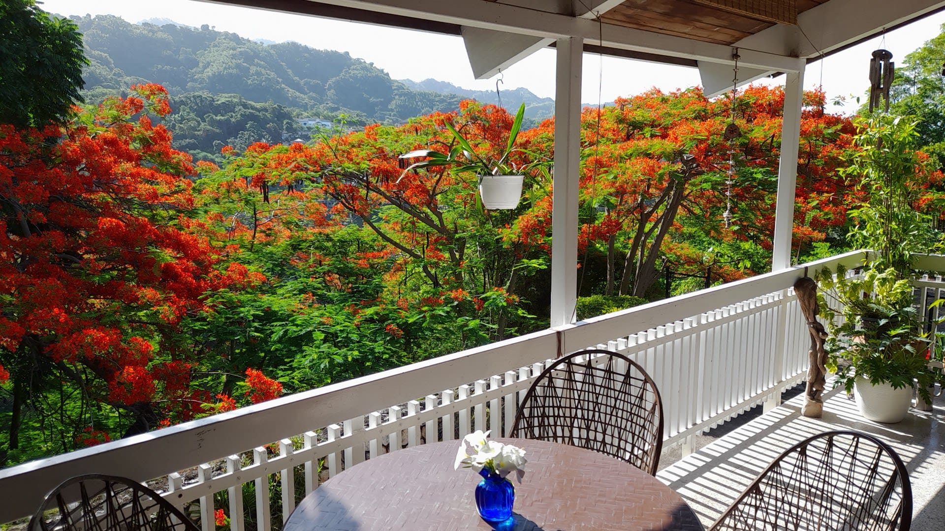 Retreat to Nature at Neita’s Nest