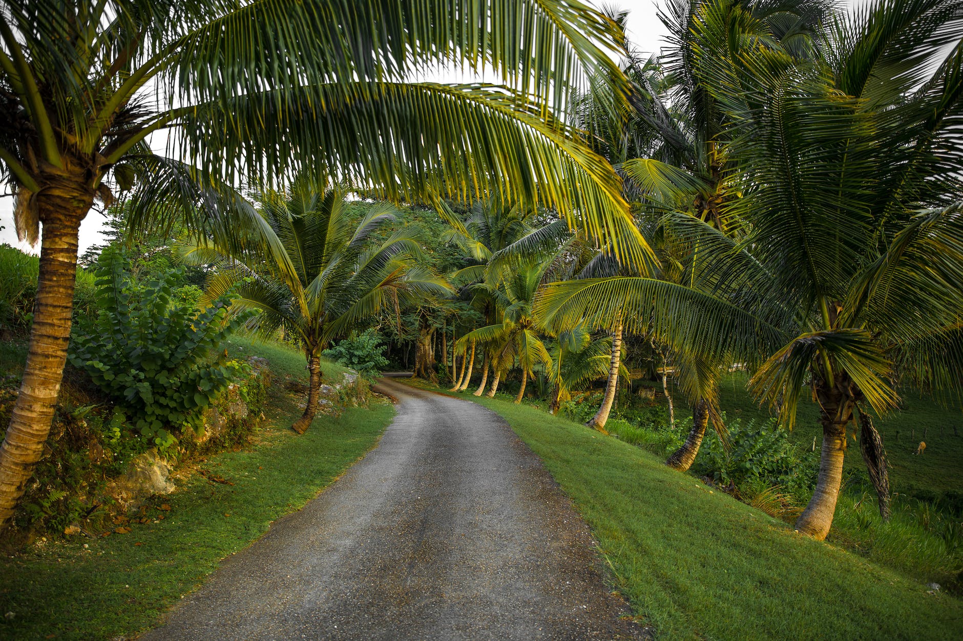 10 More Interesting Jamaican Place Names