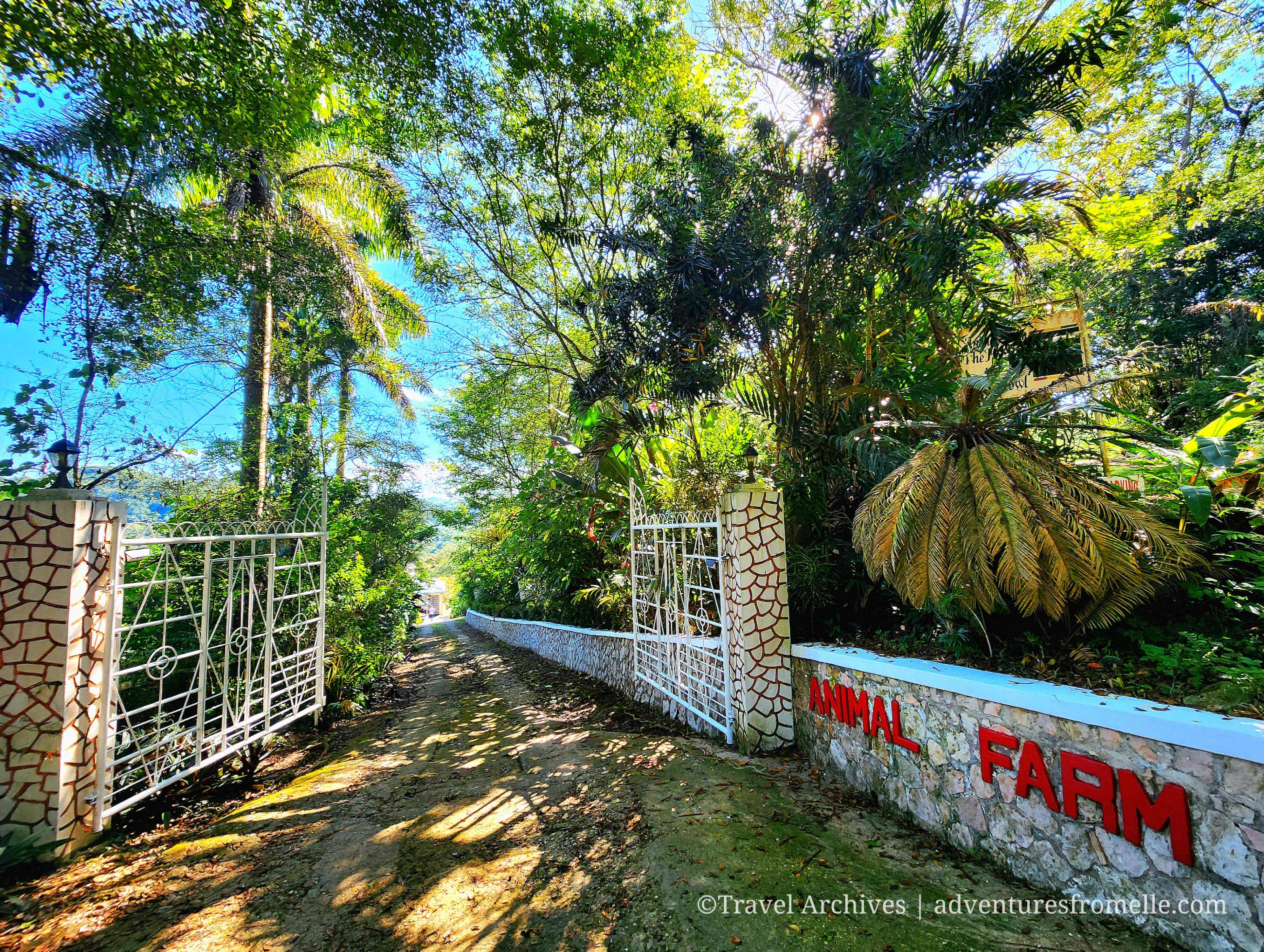 Experience Life Off the Grid at Animal Farm