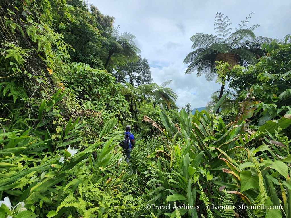 Hiking the Cunha Cunha Pass in St. Thomas