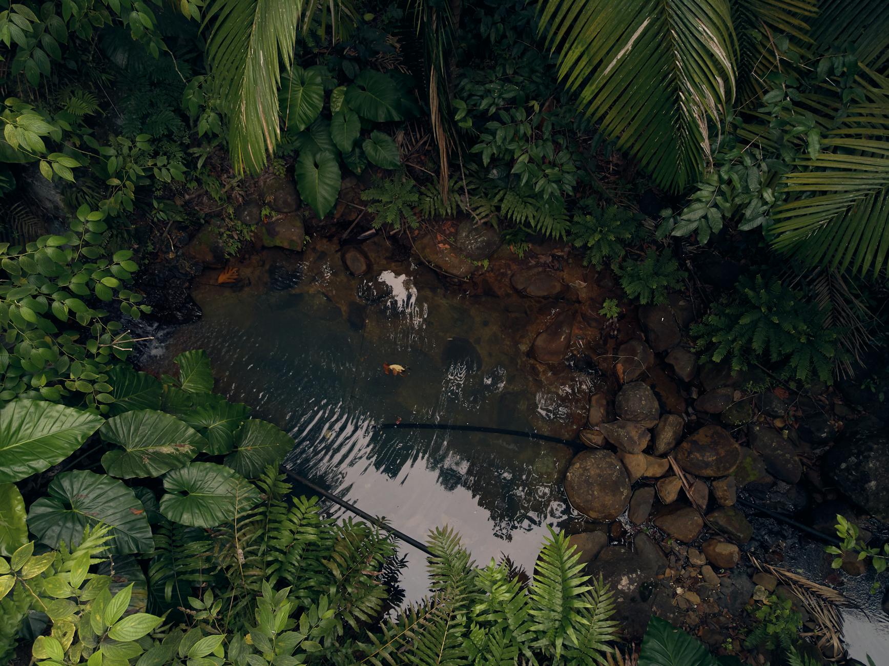 6 Jamaican Rivers You Can Visit Without Leaving Kingston & St. Andrew