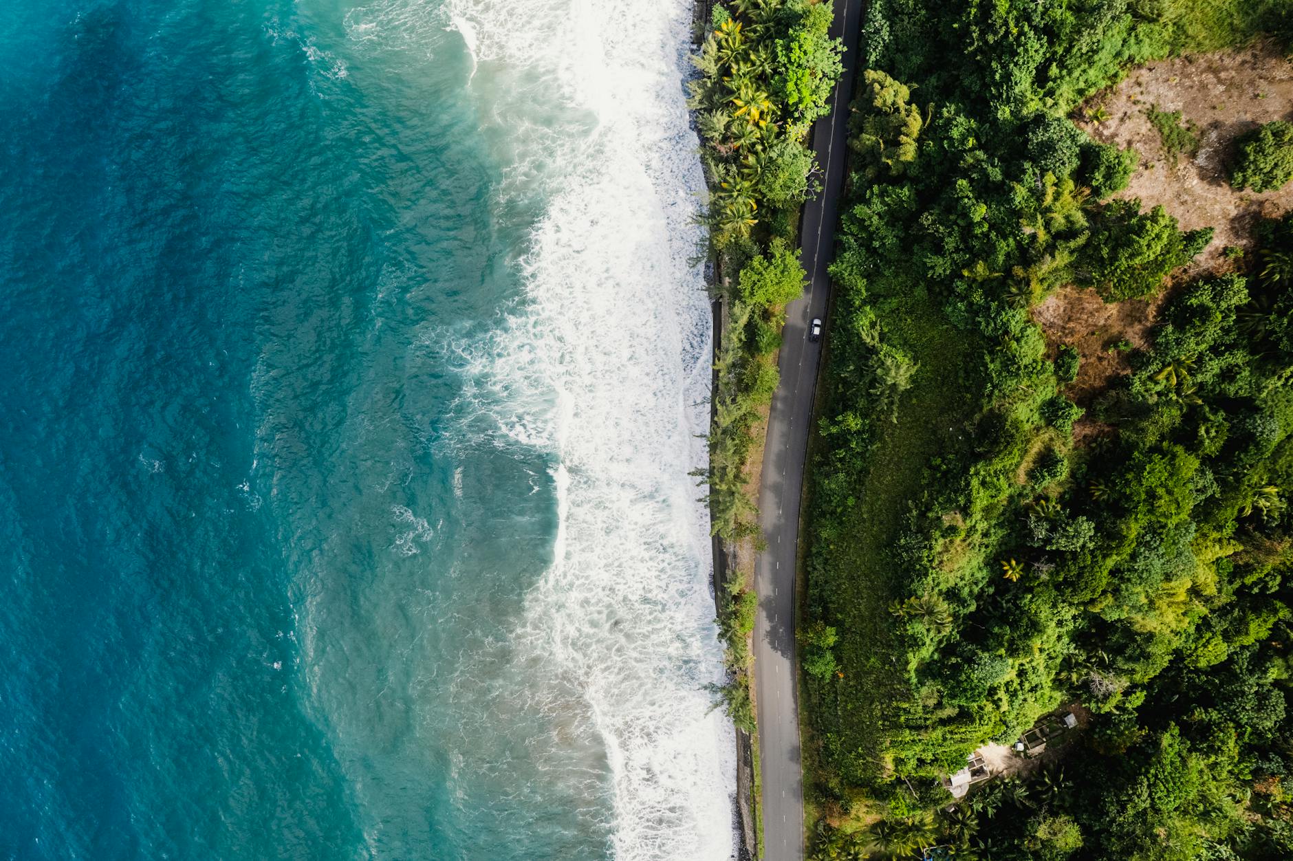 How To Visit Jamaica On A Budget