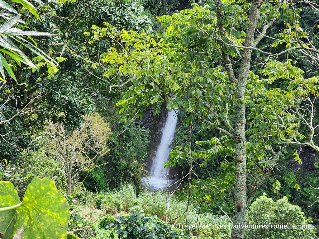 St. Peters Waterfall, Saint Andrew