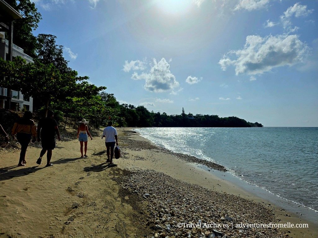 Here’s How To Join A Baby Sea Turtle Release In Oracabessa, Jamaica