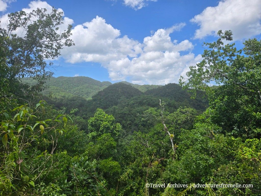 Cockpit Country: Historic Hike from Troy to Windsor
