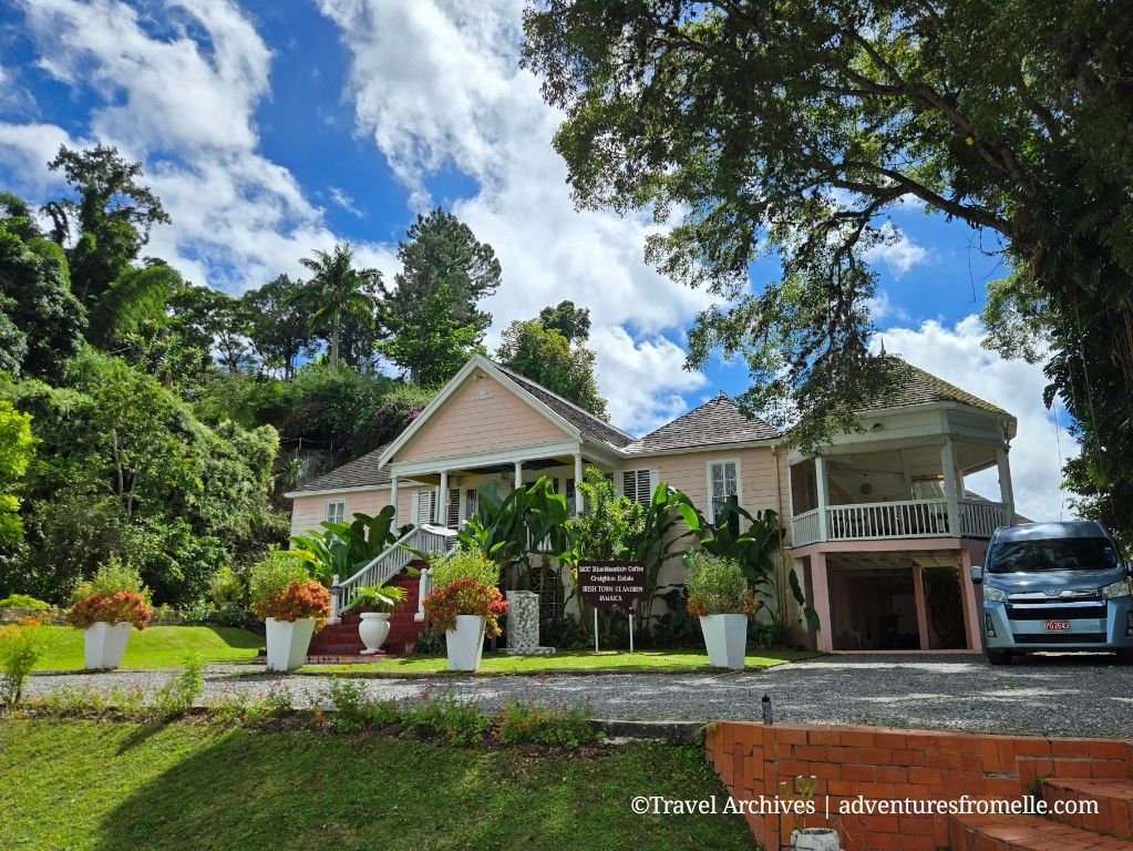 Craighton Estate: A Blue Mountain Coffee Tour Near Kingston