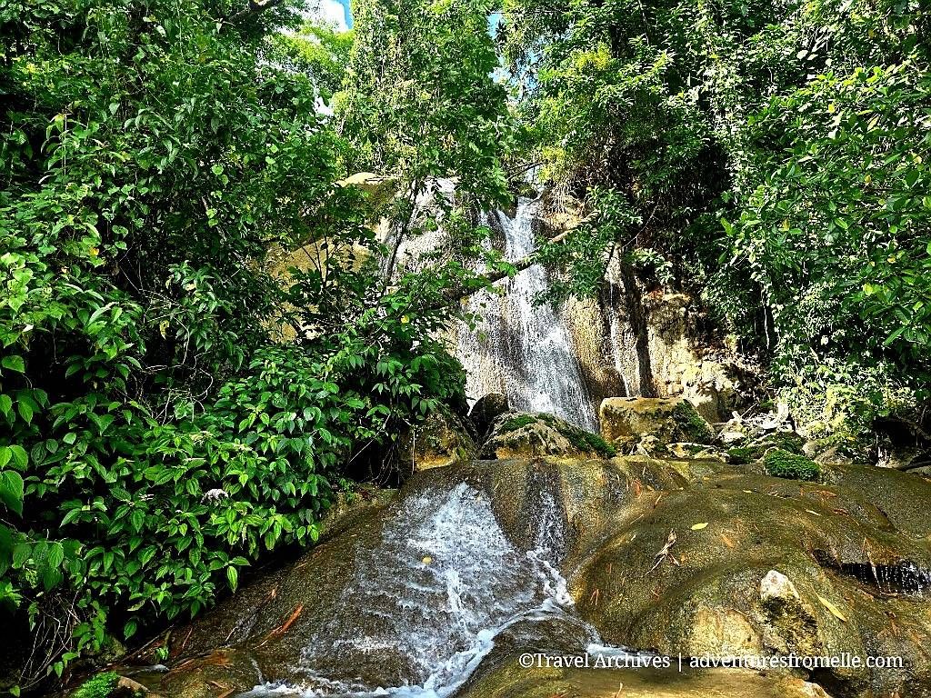 Cestan Spring Falls, Portland